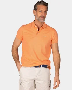 Basic Orange Cotton Polo