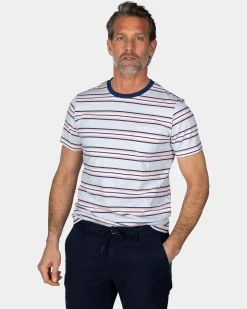 Blue T-Shirt with Pink and White Stripe
