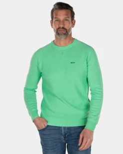 Crewneck cotton plain pullover green - Sea Green
