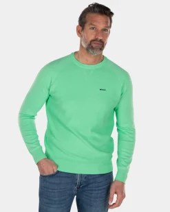 Crewneck cotton plain pullover green - Sea Green