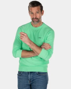 Crewneck cotton plain pullover green - Sea Green