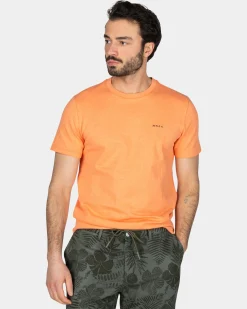 Orange Solid T-Shirt Made from Organic Cotton