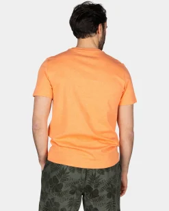 Orange Solid T-Shirt Made from Organic Cotton