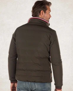 Padded solid coloured jacket - Smoked Green