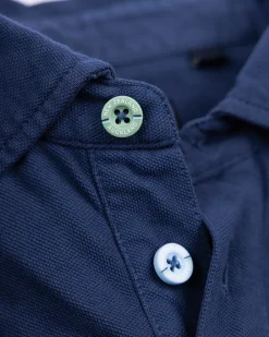 Solid Cotton Blue Polo