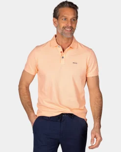Solid Cotton Light Orange Polo