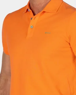 Solid Cotton Orange Polo