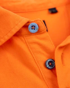 Solid Cotton Orange Polo