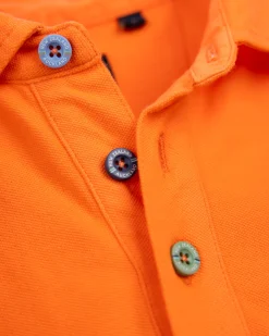 Solid Cotton Orange Polo