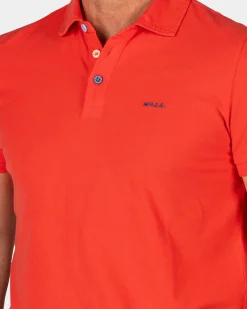 Solid Cotton Red-Orange Polo