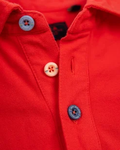 Solid Cotton Red-Orange Polo